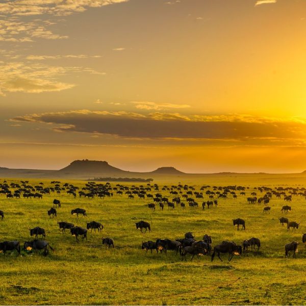 Beyond the Tanzania Horizon